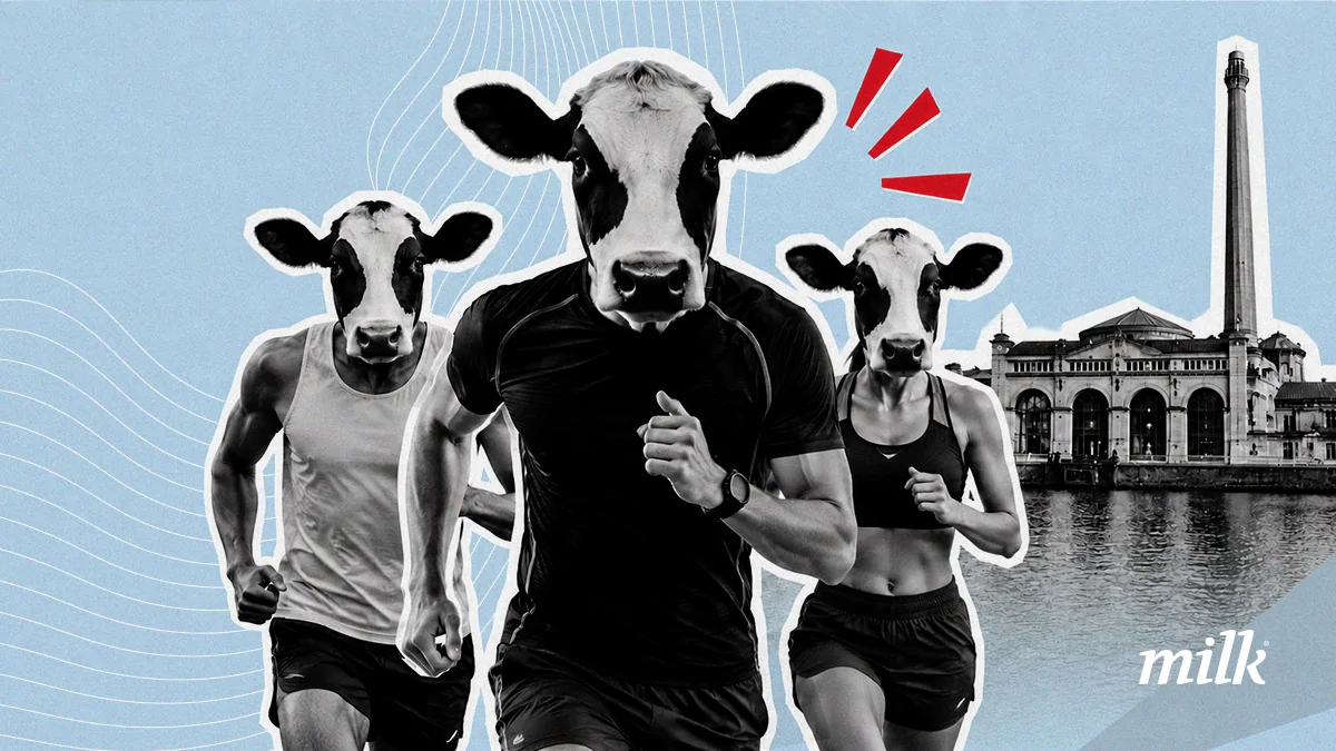Quase 20 anos atrás, quando corremos nossa primeira Maratona de Porto Alegre, a sensação era completamente diferente da que existe hojePor Cado Santos e Ju Cassino – Milk
